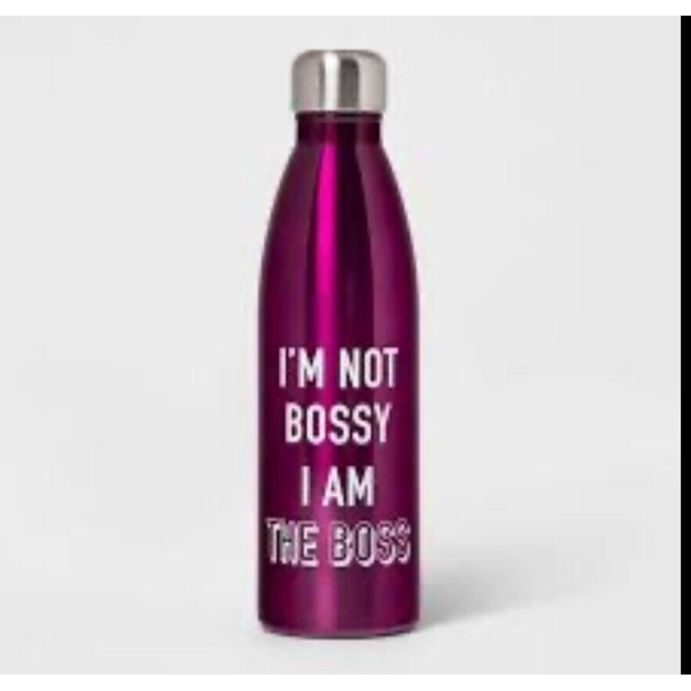 Room Essentials 17.5oz Double Wall Stainless Steel Vacuum Water Bottle Purple